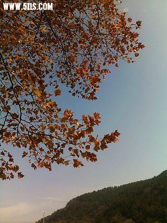 nEO_IMG_20091116304.jpg