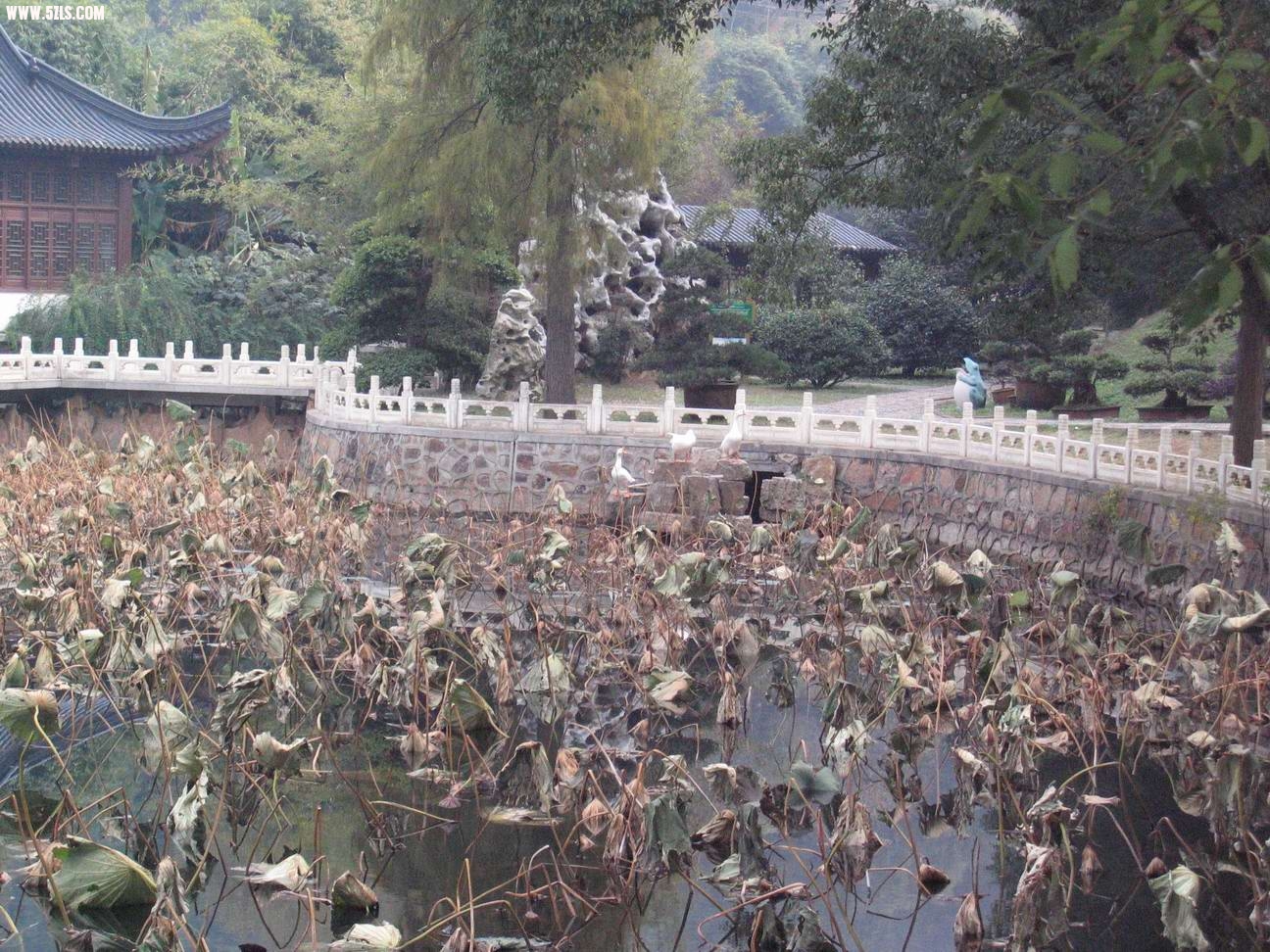 Ƭ 079.jpg