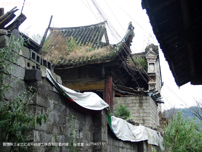 DSCF8178.JPG