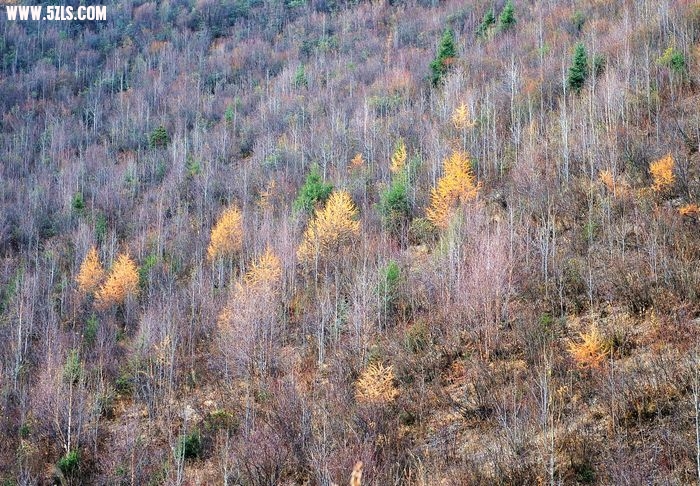 DSC_1622.jpg