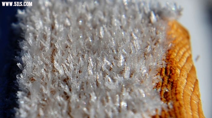DSC_1630.jpg