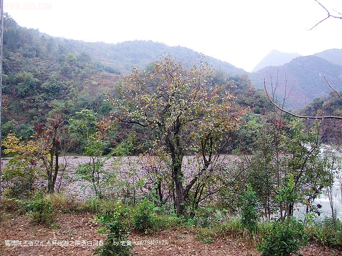 DSCF7981.JPG