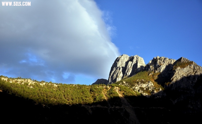 DSC_0537.JPG