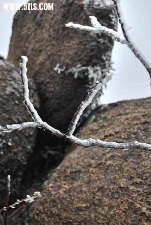 DSC_0452.JPG