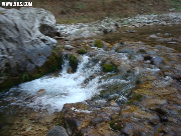 DSC06333_调整大小.JPG