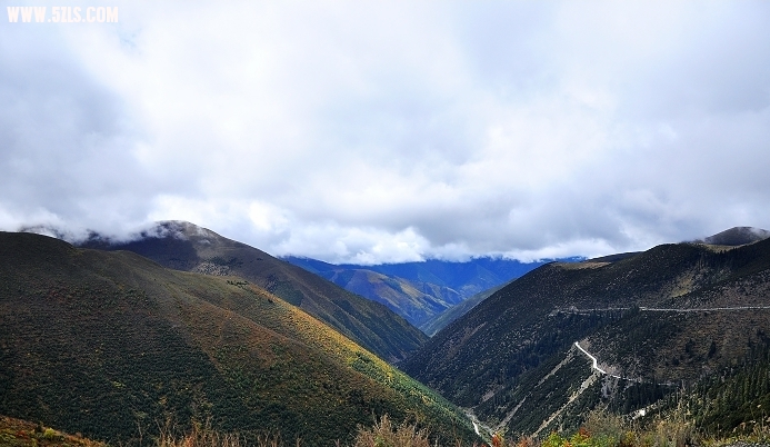 DSC_0079.jpg