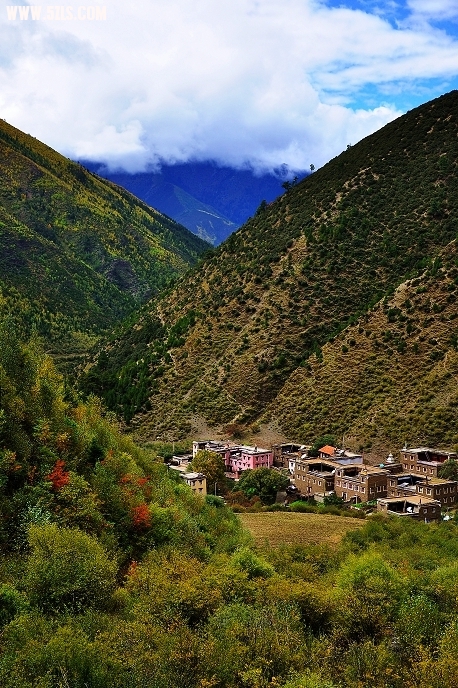 DSC_0092.jpg