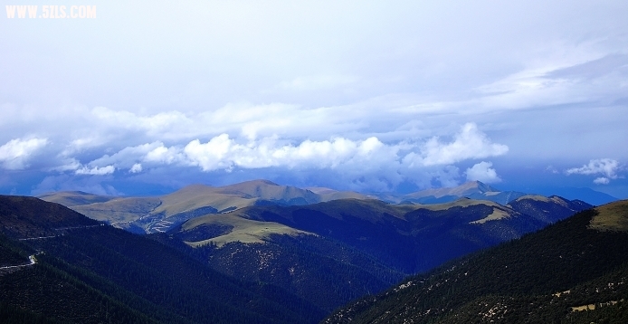 DSC_0120.jpg