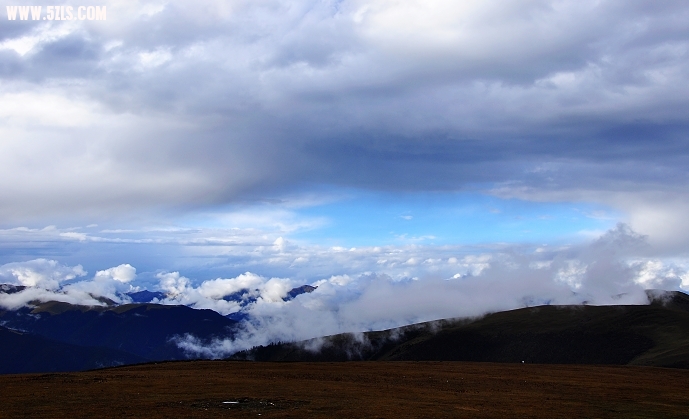 DSC_0207.jpg