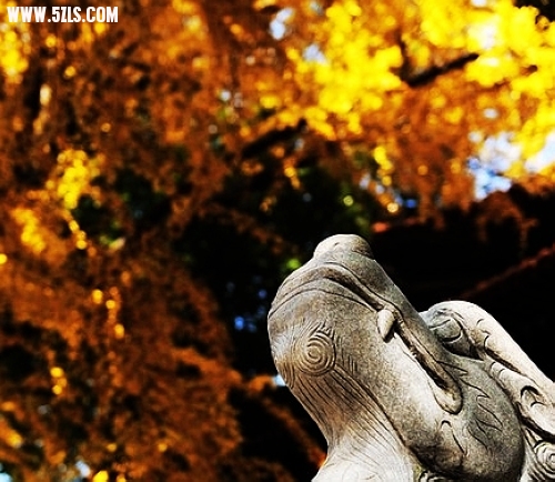 0912061530d19ec4f68ba4f5dc_Ӱ_1.jpg