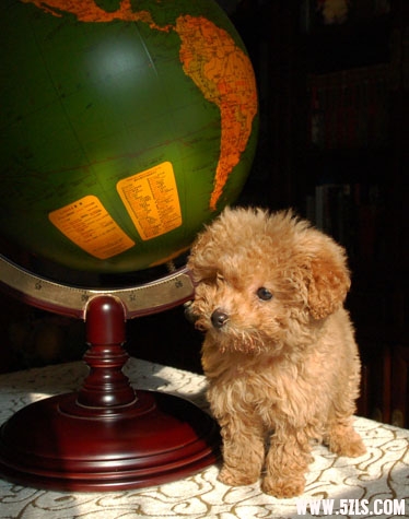 2010.1.2-2.jpg