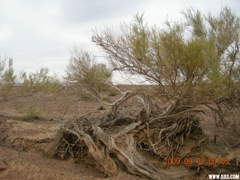 DSCN1761.JPG