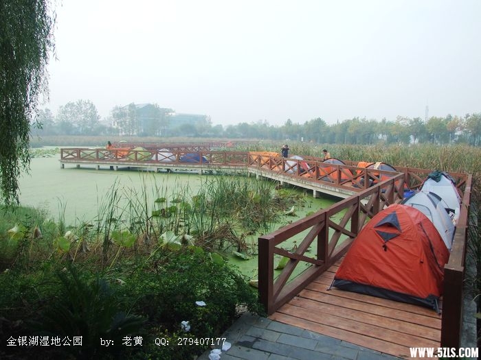DSCF4678.jpg