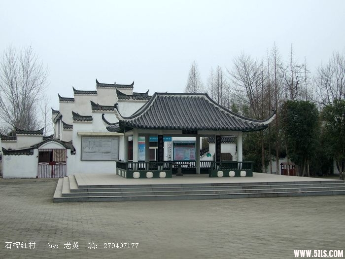 DSCF9946.jpg