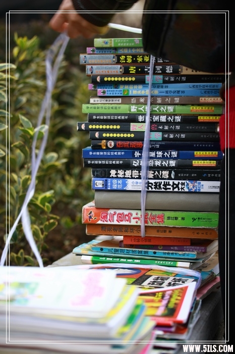 IMG_8986_光影_1.jpg