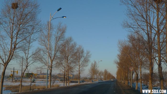P1000891.jpg