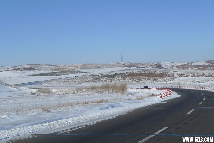P1000933.jpg