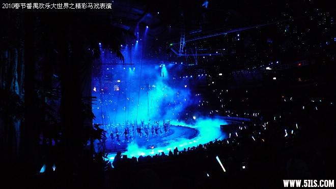 P1100046.jpg