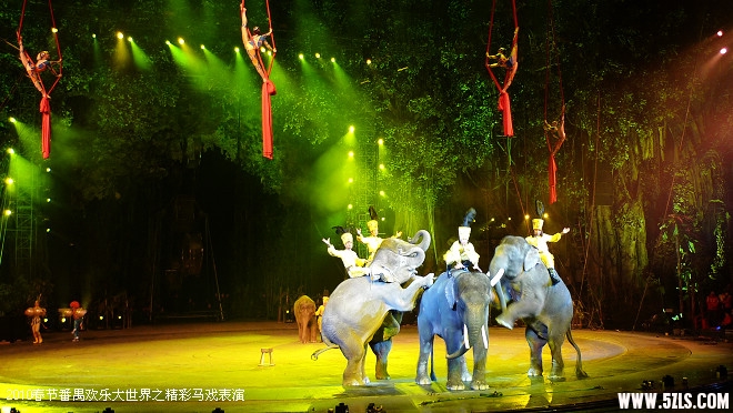 P1100287.jpg