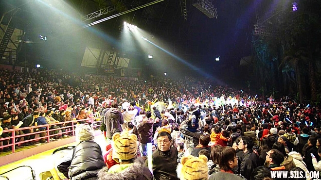 P1100369.jpg