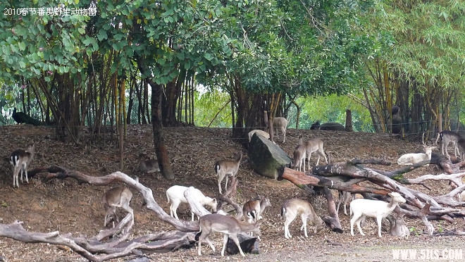 P1100447.jpg