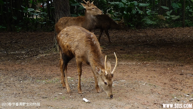 P1100513.jpg