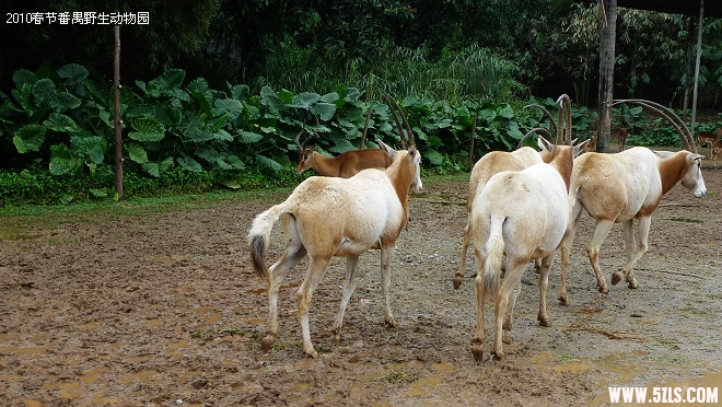 P1100647.jpg