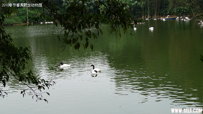 P1100709.jpg