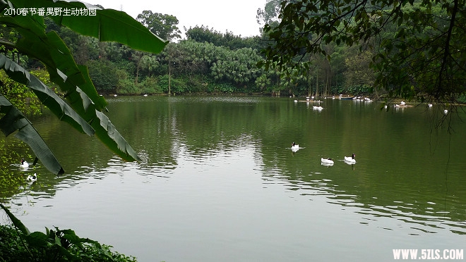 P1100711.jpg