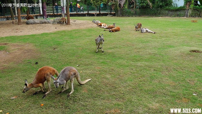 P1100762.jpg