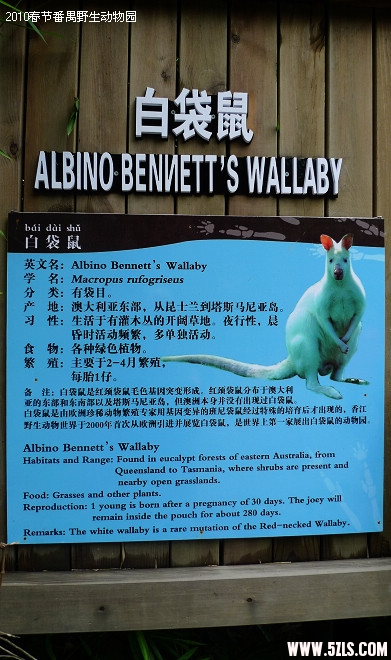 P1100748.jpg