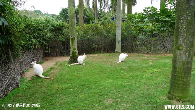 P1100745.jpg