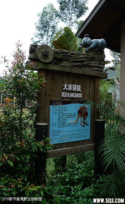 P1100749.jpg