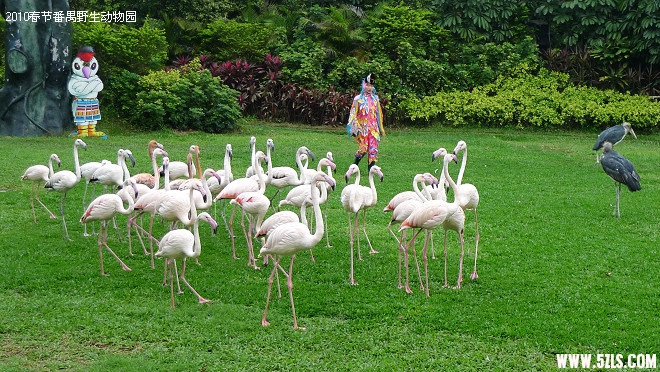 P1110034.jpg