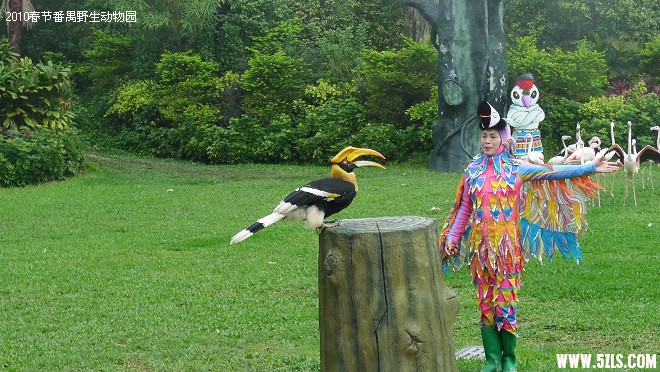P1100984.jpg