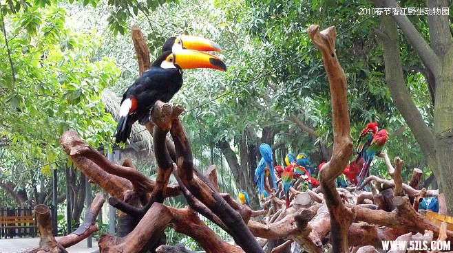 P1110036.jpg
