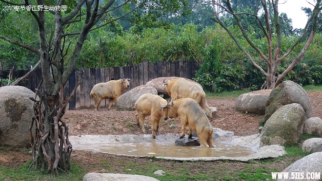 P1100935.jpg