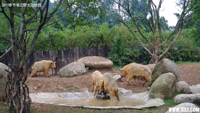 P1100933.jpg