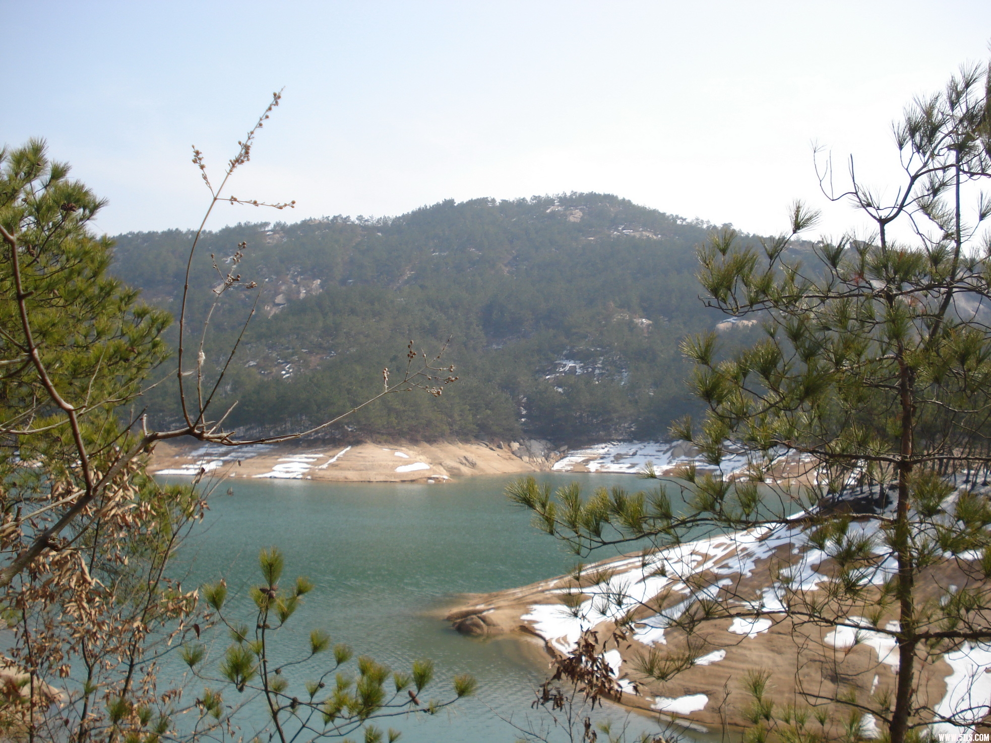 DSC05417-1.jpg
