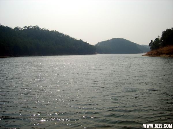 S8001721.JPG