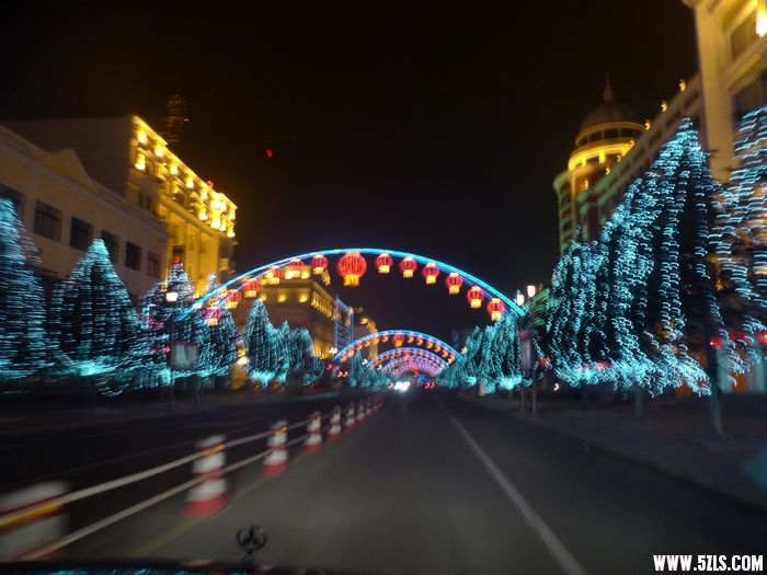 P1010228.jpg
