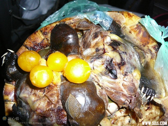 CAAJIFE9.jpg
