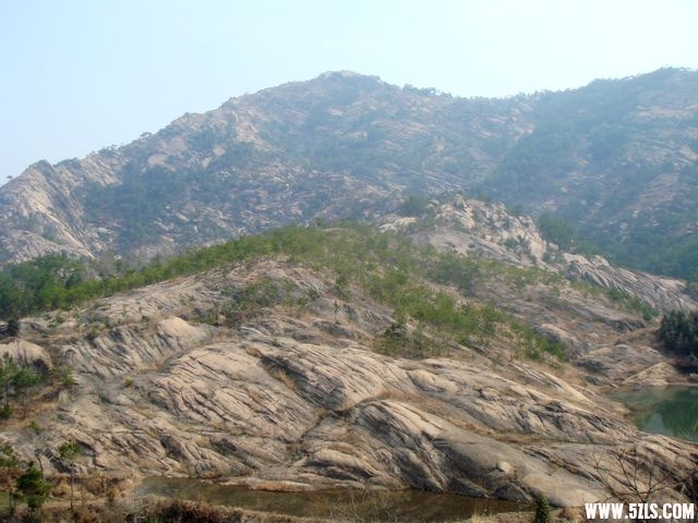 DSC03190.jpg