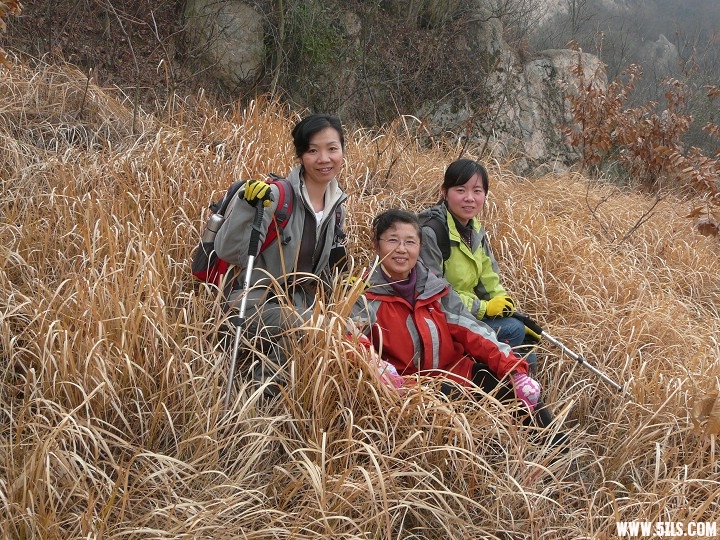 P1130141.jpg