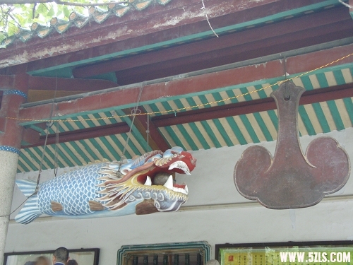 P2120038-1.jpg