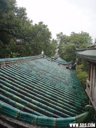 P2120058-1.jpg