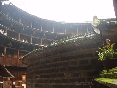 P2130163-1.jpg