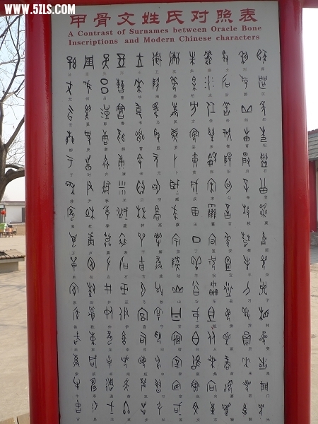 P1010585.jpg