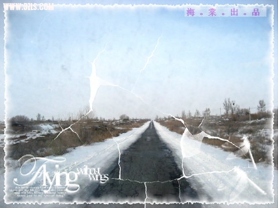 IMG_2435.JPG