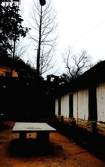 梅园 275.jpg